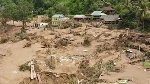 洪水退去后，义安省许多地区遭到破坏。