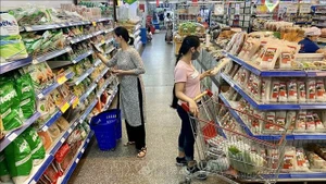 5月份消费与旅游需求攀升拉动越南社会消费品零售总额增长10.2%。（图片来源：越通社）