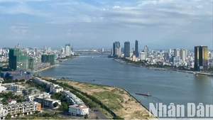 政府总理批准成立岘港市自由贸易区。（英涛 摄）