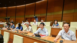国会代表表决通过《越南国籍法》若干条款修改补充法。（维玲 摄）