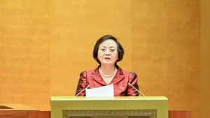 越南内务部长范氏青茶在会议上发表讲话。（维玲 摄）