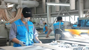 位于广安东梅工业园的Lioncore Vietnam Industrial公司的生产厂。（图片来源：越通社）