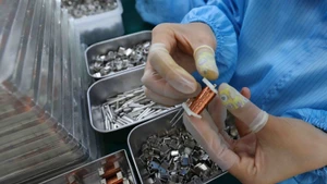 附图。（图片来源：越通社）