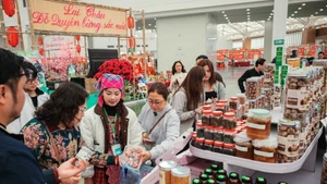 游客在春季博览会上参观和购物产品。（图片来源：越通社）