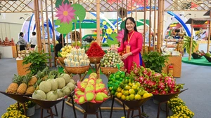 2026年春季博览会汇聚来自全国三大的众多展位，打造独具特色的文化空间，吸引游客驻足参观。（图片来源：民智报网）