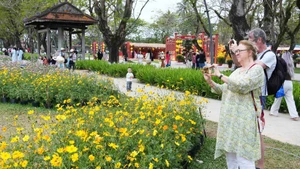 顺化市富春坊的春节鲜花装饰空间吸引众多国际游客参观拍照。（图片来源：越通社）