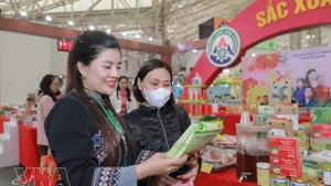 谅山省展位。（图片来源：越通社）