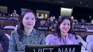 越南常驻教科文组织代表团团长阮氏云英大使与文化体育与旅游部国际合作司司长、越南《2005年公约》国家协调机构代表阮芳和博士出席会议。（图片来源：越通社）