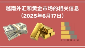 越南外汇和黄金市场的相关信息【图表新闻】