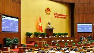 根据国会第九次会议议程，6月16日的重点内容是宪法和立法工作（资料图）。（图片来源：越通社）