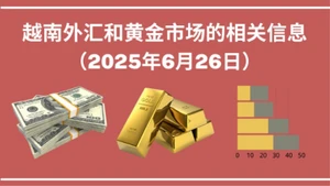 越南外汇和黄金市场的相关信息【图表新闻】