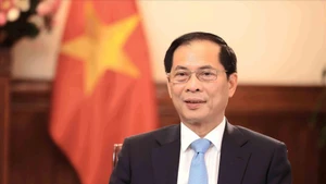 越南政府副总理兼外交部长裴青山。（图片来源：越通社）