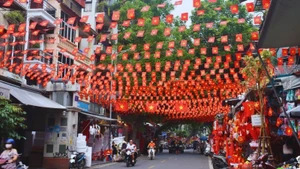 河内首都大街小巷张灯结彩，庆祝八月革命胜利和九·二国庆80周年。