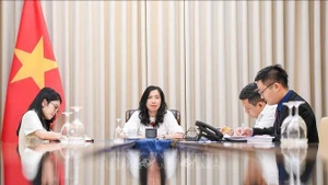 越南外交部副部长黎氏秋姮同吉尔吉斯斯坦外交部副部长阿巴基罗夫通电话。（图片来源：越通社）