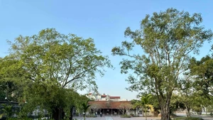 钟寺——到访兴安的游客不容错过的景点。