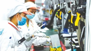 2025年前11月越南新设企业和复工复产企业数量同比增长 26.1%【图表新闻】