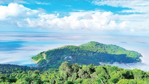 薯岛拥有独一无二的地理位置，可以俯瞰浩瀚的大洋。