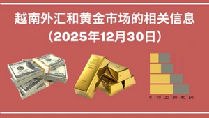 越南外汇和黄金市场的相关信息【图表新闻】