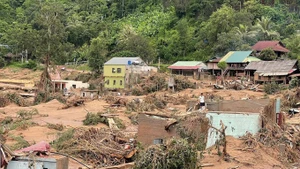 2025年7月洪灾导致义安省美理乡数百间房屋受损。（图片来源：越通社）