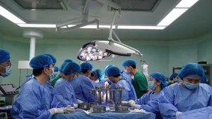 九龙江三角洲首次进行脑死亡捐献者肾脏移植手术。