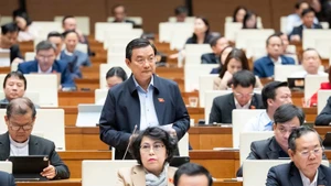 胡志明市国会代表范仲仁发表讲话。