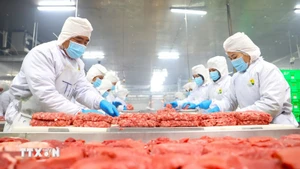 开拓中东-非洲市场：西宁省力促农产品对接清真领域