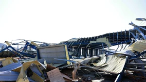 受第13号台风影响，仁会经济区内许多生产厂房遭受损坏。