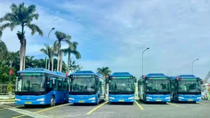 昆岛特区预计12月开通首条电动公交线路。