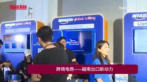 跨境电商——越南出口新动力【视频】
