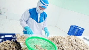越南四海责任有限公司的鱚鱼骨产品出口到日本。