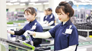 附图。（图片来源：投资报）