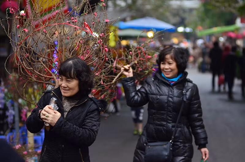 河内春节花市气氛浓（组图） ảnh 7