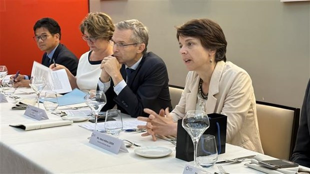 法国开发署副署长玛丽·海伦·洛松发表讲话。 法国开发署副署长玛丽·海伦·洛松发表讲话。