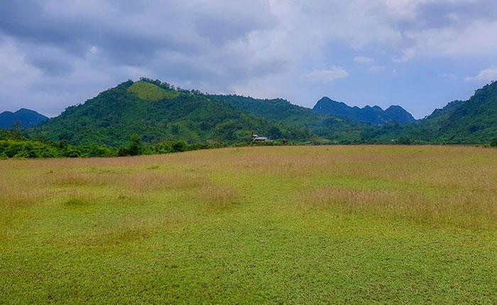 宽敞平坦的草坪，适合周末露营和趣味活动。