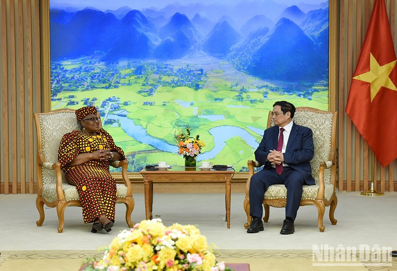 越南政府总理范明正会见世界贸易组织总干事。 越南政府总理范明正会见世界贸易组织总干事。