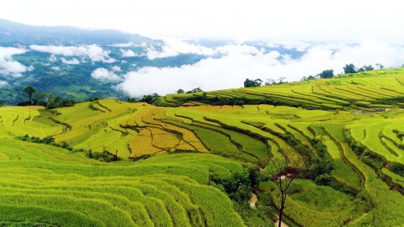 图纳杭县鸿泰乡梯田是最具吸引力的旅游景点。 图纳杭县鸿泰乡梯田是最具吸引力的旅游景点。