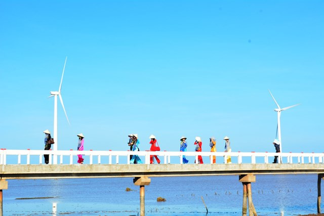 薄辽风电场吸引许多省内外游客前来参观。 薄辽风电场吸引许多省内外游客前来参观。