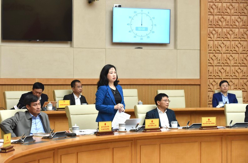 越南卫生部部长陶红兰在会上发言。 越南卫生部部长陶红兰在会上发言。