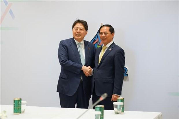 越南外交部长裴青山与日本外务大臣林义政。 越南外交部长裴青山与日本外务大臣林义政。