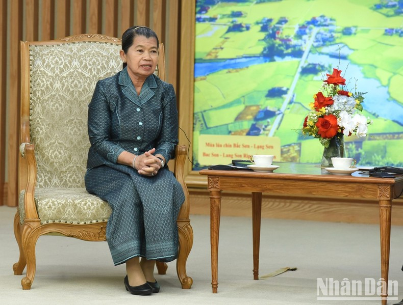 柬埔寨副首相、议会联络与监察部大臣梅森安。