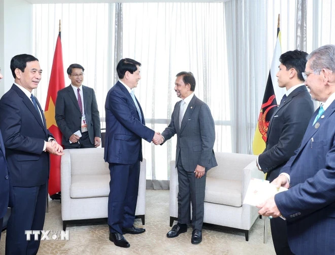 越南国家主席梁强会见文莱苏丹哈吉·哈桑纳尔·博尔基亚。