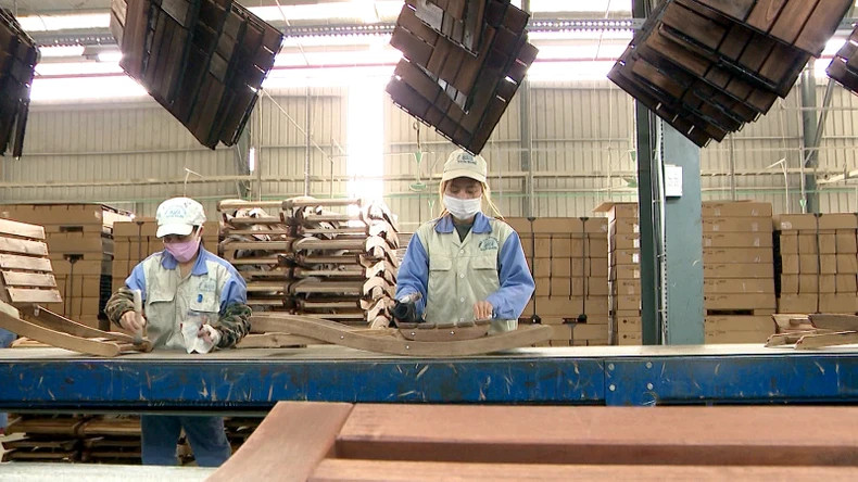 宣光省林业产业增长率达9%/年。 宣光省林业产业增长率达9%/年。