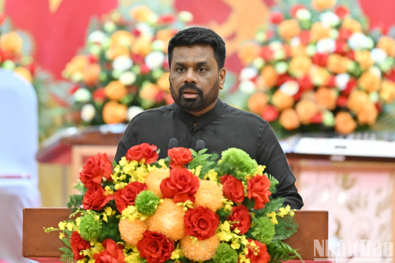 迪萨纳亚克总统在宴会上发表讲话。