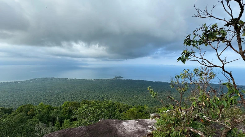 从高处俯瞰，山林与大海融为一体，构成一幅雄伟壮丽的画卷。