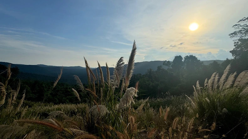 当夕阳缓缓沉入山间，护林员便迎来新一轮的夜间巡逻。