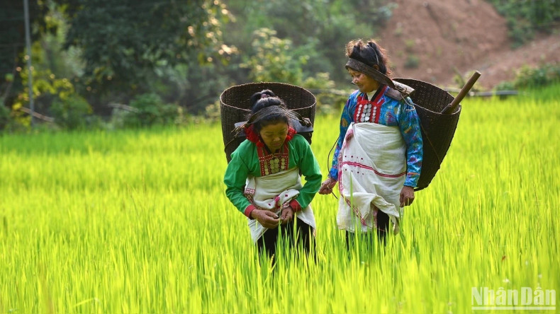 莽族独特的文化特色。