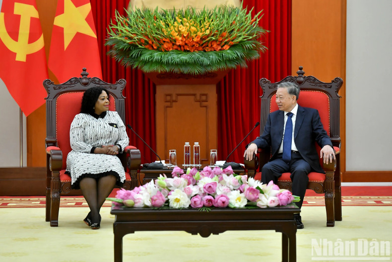 苏林总书记会见莫库亚尼副秘书长。