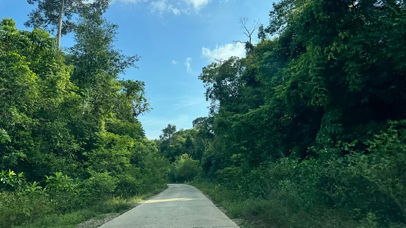 要登顶主山，游客需穿越超过15公里的原始森林。