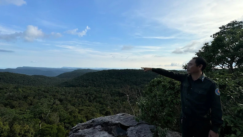 新村护林队成员邓辉英正在主山一带巡逻。