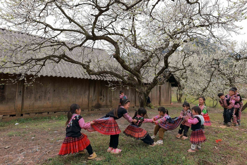 山罗省木州县李花怒放一树白,李花似雪,如画如诗,无穷魅力,而摄影记者已经把这一美丽的画面定格在照片里。 山罗省木州县李花怒放一树白,李花似雪,如画如诗,无穷魅力,而摄影记者已经把这一美丽的画面定格在照片里。